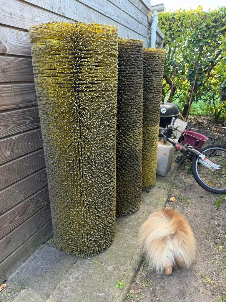 Schuurborstel/schuurpaal, Ophalen, Overige soorten