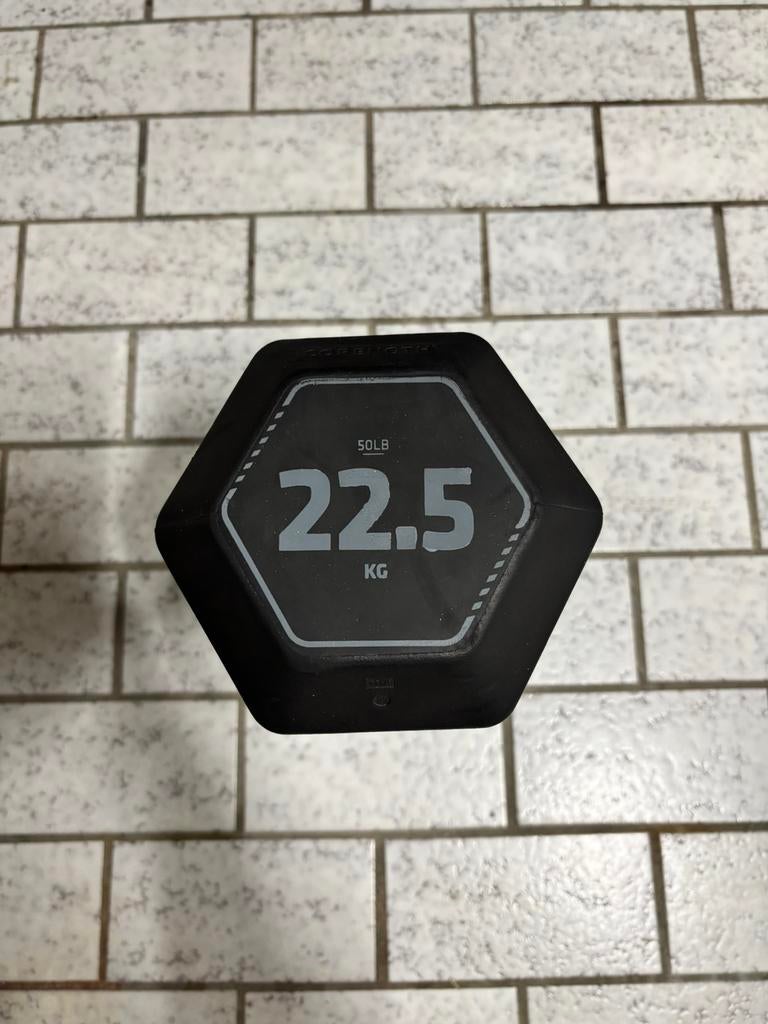 Dumbbell 22,5 KG, Ophalen, Zo goed als nieuw