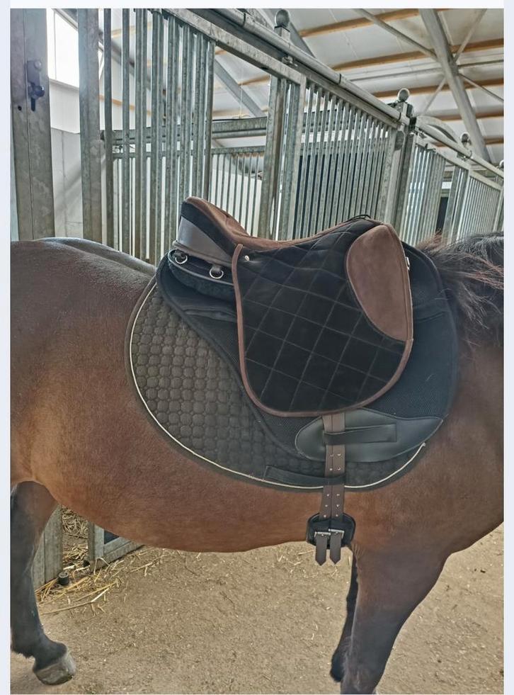 Ghost Torino piccolo zadel, Dieren en Toebehoren, Paarden en Pony's | Zadels, Zo goed als nieuw, Ophalen of Verzenden