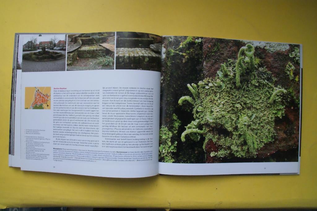 KORSTMOSSEN ONDER DE LOEP op de vestingmuren van 's -Hertoge, Boeken, Ophalen of Verzenden, Nieuw