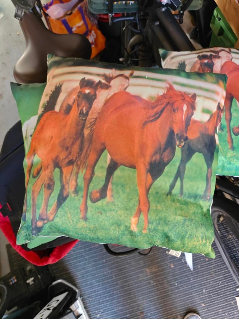 Set van 3 leuke dierenkussens 35x35 cm, Huis en Inrichting, Woonaccessoires | Kussens, Ophalen of Verzenden