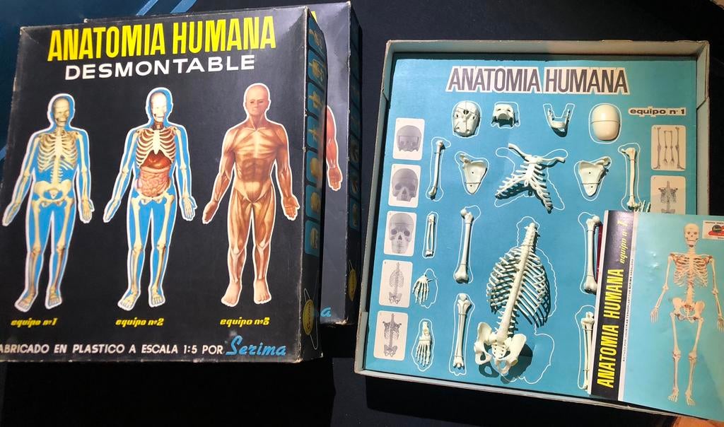 Anatomia Humana (60s, Spanje, Serima), Ophalen of Verzenden, Huis en Inrichting