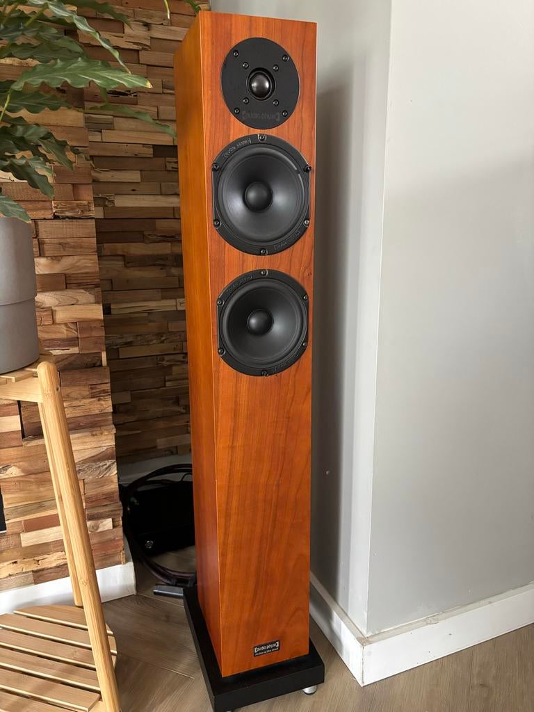 Audio Physic Yara 2 Classic Vloerstaande Luidsprekers, Ophalen, Zo goed als nieuw, Front, Rear of Stereo speakers, Overige merken