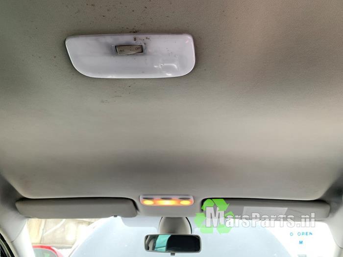 Hemelbekleding van een Renault Megane, Auto-onderdelen, Interieur en Bekleding, Renault, Gebruikt, 3 maanden garantie, Ophalen of Verzenden