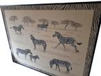 Zeer groot canvas - Zebra's op de savanne, Ophalen, Overige materialen, Gebruikt, 125 cm of meer