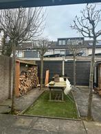 Bol es prachtig, Ophalen of Verzenden, Volle zon, 100 tot 250 cm