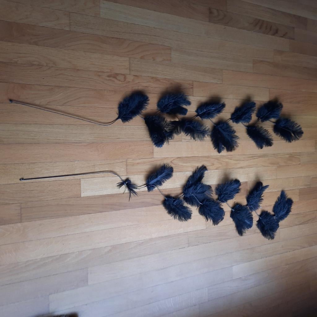 Ijzerdraad met zwarte veren, Ophalen, Schilderij, Minder dan 50 cm