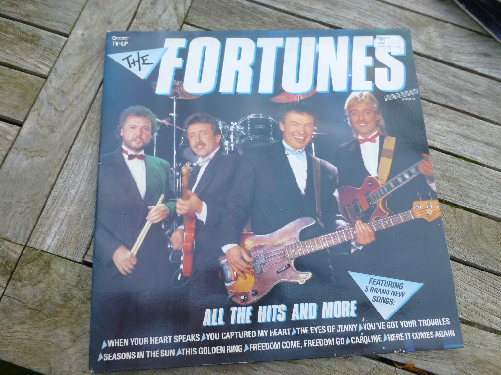 Lp fortunes, Cd's en Dvd's, Vinyl | Pop, Fotohoes, Ophalen of Verzenden, Zo goed als nieuw, 12 inch