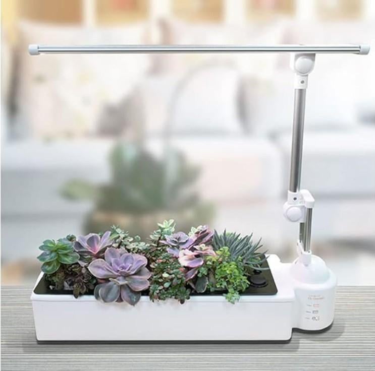 kweek, Ophalen of Verzenden, Nieuw, Kweekbak