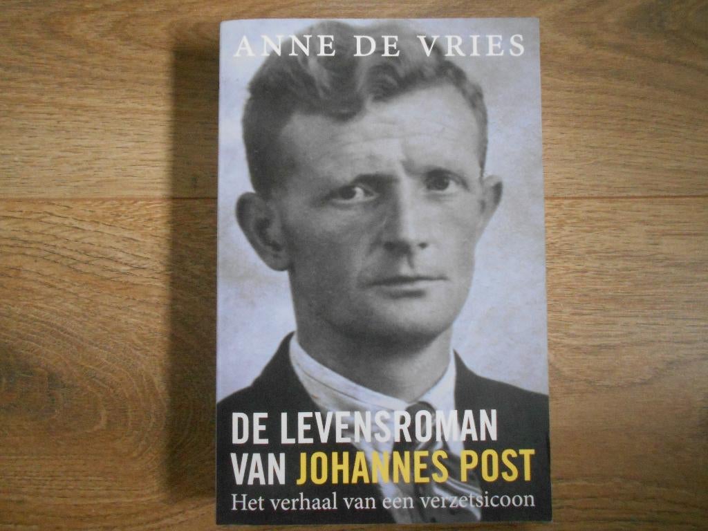 Anne de Vries De levensroman van Johannes Post, Boeken, Ophalen of Verzenden, Tweede Wereldoorlog, Zo goed als nieuw, Overige onderwerpen