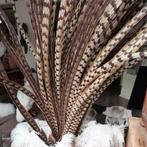 KONINGS FAZANTVEREN diverse lengte op voorraad, Ophalen of Verzenden, Nieuw, One size fits all