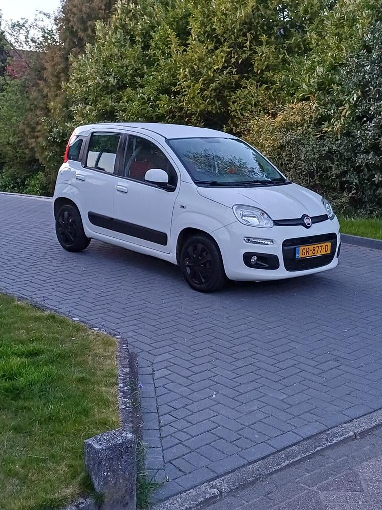 Fiat Panda  "scherpe prijs", Auto's, Fiat, Voorwielaandrijving, Stof, 31 €/maand, Panda