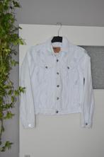 Stoer spijkerjasje van "New Yorker" maat XS, Wit, New Yorker, Ophalen of Verzenden, Zo goed als nieuw