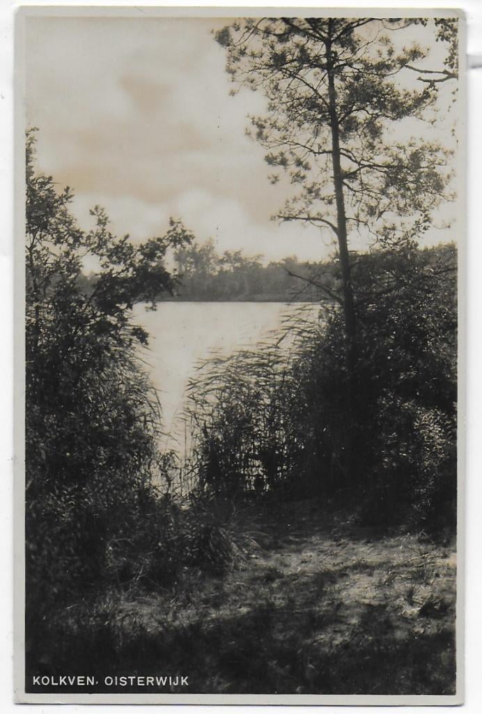 Oisterwijk Kolkven Oude Gelopen Ansichtkaart ( 1576), Ophalen of Verzenden, 1960 tot 1980, Gelopen, Noord-Brabant