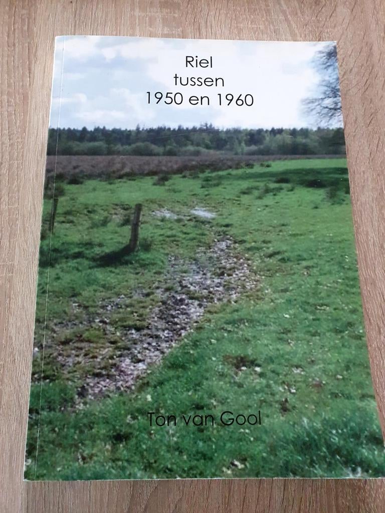 Riel tussen 1950 en 1960 - Ton van Gool ( Goirle ), 20e eeuw of later, Ophalen of Verzenden, Zo goed als nieuw, Ton van Gool