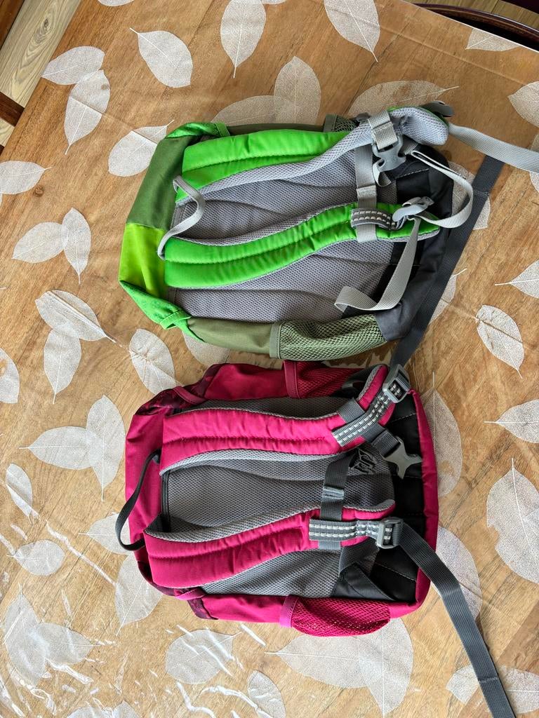 Twee kleine Deuter rugzakken, roze en groen, Overige merken, Gebruikt, Minder dan 30 cm, Ophalen of Verzenden