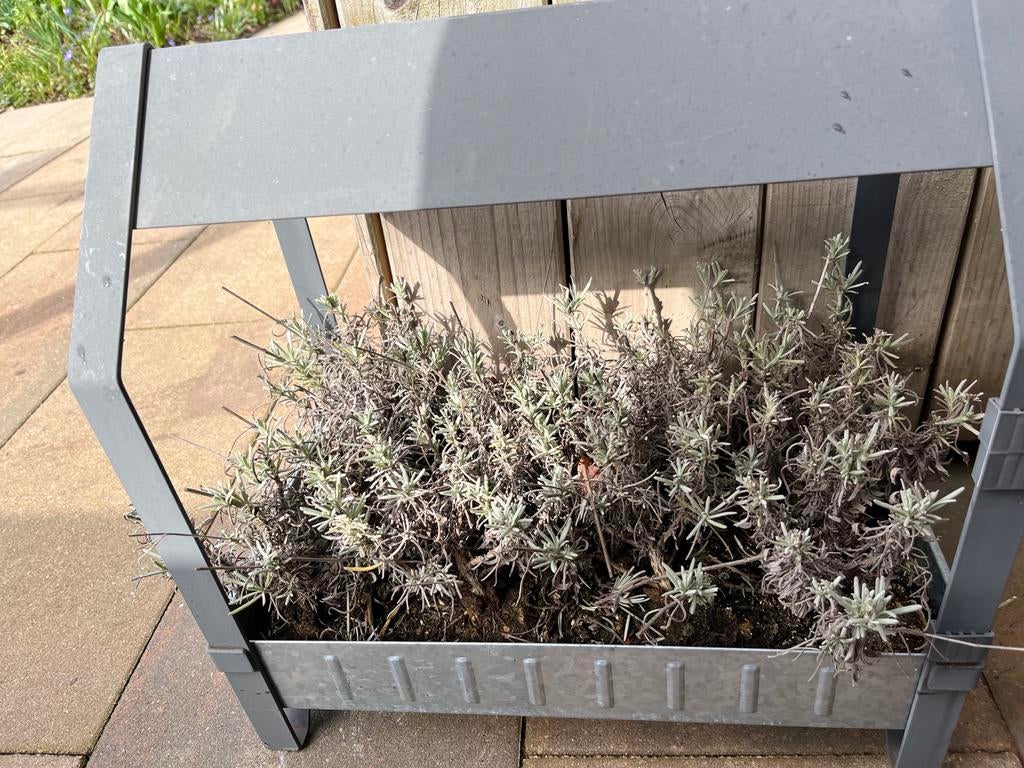 Kas model plantenbak - Metaal - Grijs, Gebruikt, Ophalen of Verzenden, Binnen, Metaal