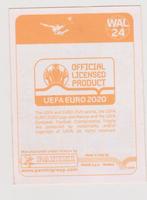 Panini stickers EK2020 Preview oranje, EK 2020, Verzenden, Zo goed als nieuw, Buitenlandse clubs, Poster, Plaatje of Sticker