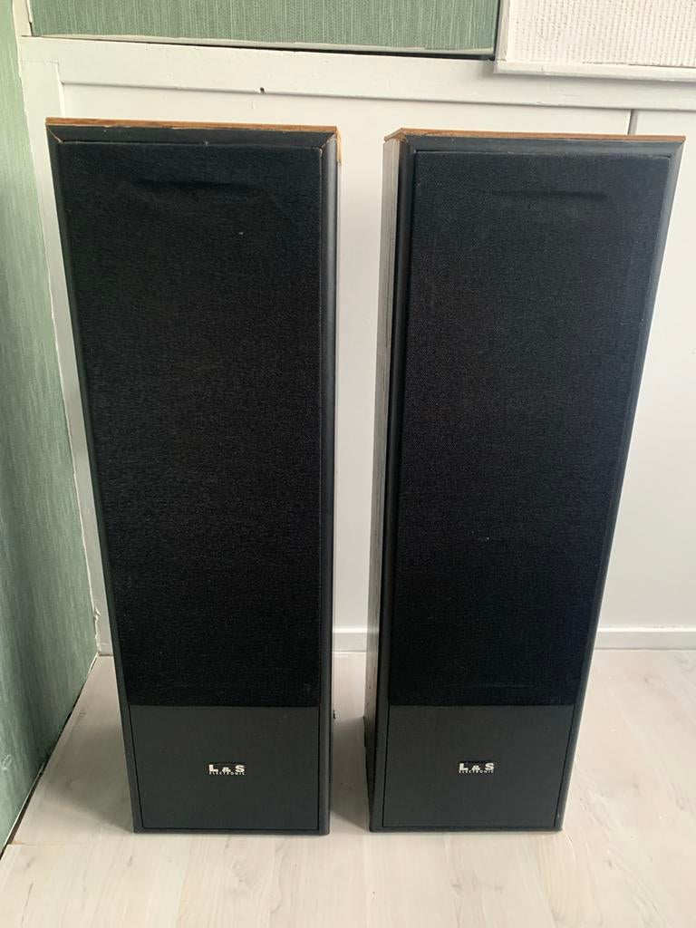 L&S Electronic Vloerstaande Luidsprekers - Set van 2, Overige merken, Gebruikt, Ophalen of Verzenden, 60 tot 120 watt