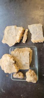 Fossielen stenen mineralen etc., Verzamelen, Ophalen of Verzenden, Fossiel