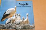 Vogels van Europa — Observeren, Herkennen en Beschermen, Ophalen of Verzenden, Gelezen, Vogels