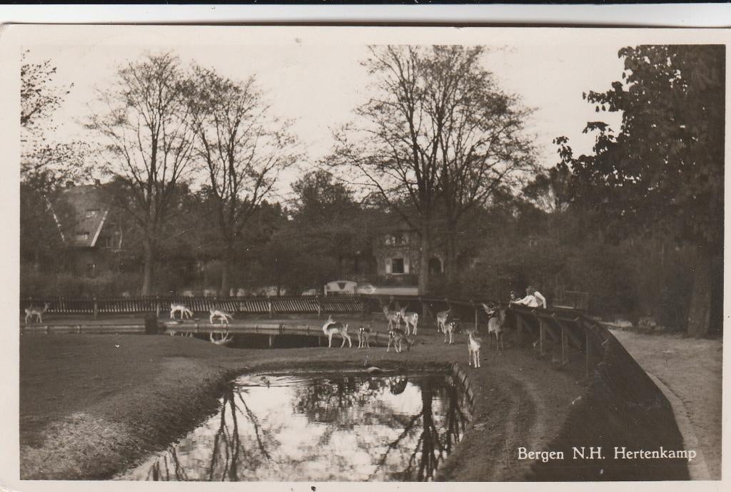 bergen- hertenkamp, Ophalen of Verzenden, Voor 1920, Noord-Holland