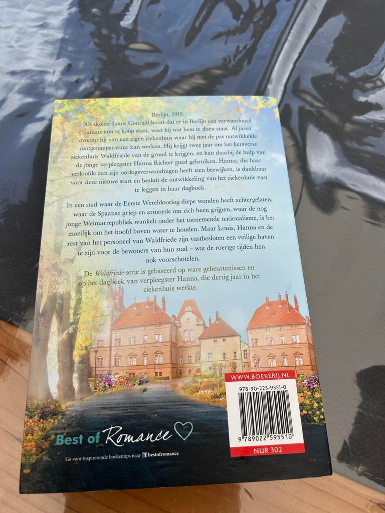 Gloriedagen van Corina Bomann, Boeken, Romans, Ophalen of Verzenden, Gelezen, Nederland