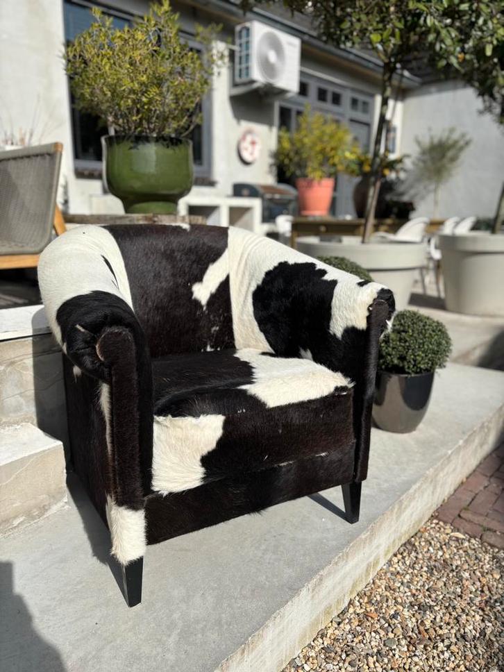 Clubfauteuil van Koeienhuid, Huis en Inrichting, Fauteuils, Gebruikt, Leer, 75 tot 100 cm, 75 tot 100 cm, Ophalen of Verzenden