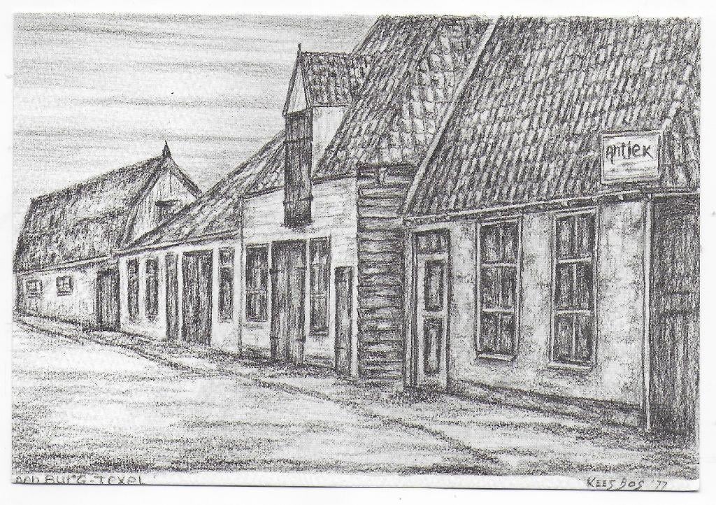 Texel Den Burg Ongelopen   Ansichtkaart  (B7913), Ophalen of Verzenden, 1980 tot heden, Ongelopen, Waddeneilanden