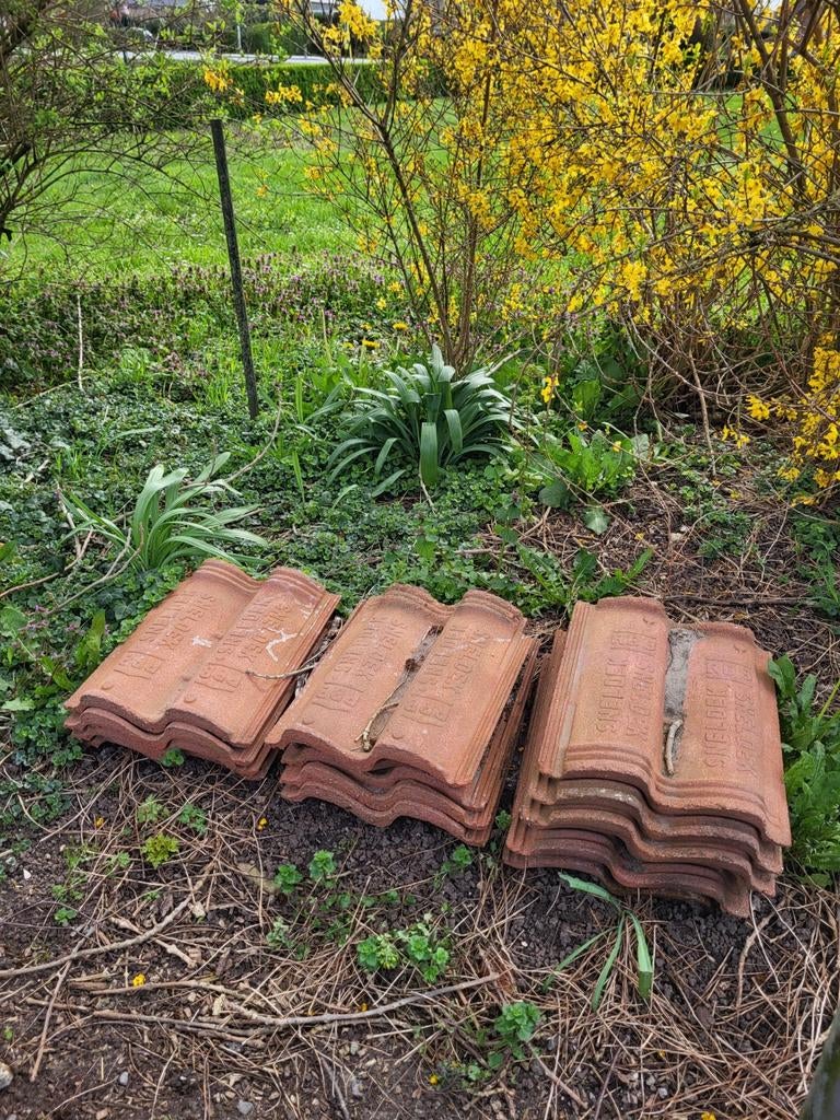 13 stenen dakpannen tegels, Ophalen, Steen of Klei, 15 m² of meer, Dakpannen