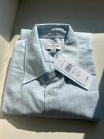 Nieuw: Lacoste Regular Fit overhemd - Lichtblauw gestreept, Kleding | Heren, Overhemden, Ophalen of Verzenden, Nieuw, Blauw, Halswijdte 41/42 (L)