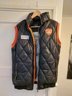 Spyker  Bodywarmer., Ophalen of Verzenden, Zo goed als nieuw, McGregor, Maat 48/50 (M)