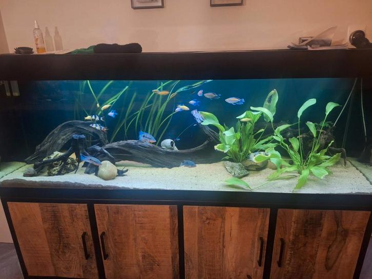 Aquarium 200*60*60cm, Dieren en Toebehoren, Vissen | Aquaria en Toebehoren, Zo goed als nieuw, Leeg aquarium, Ophalen