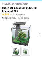 Aquarium inclusief vissen, Vis