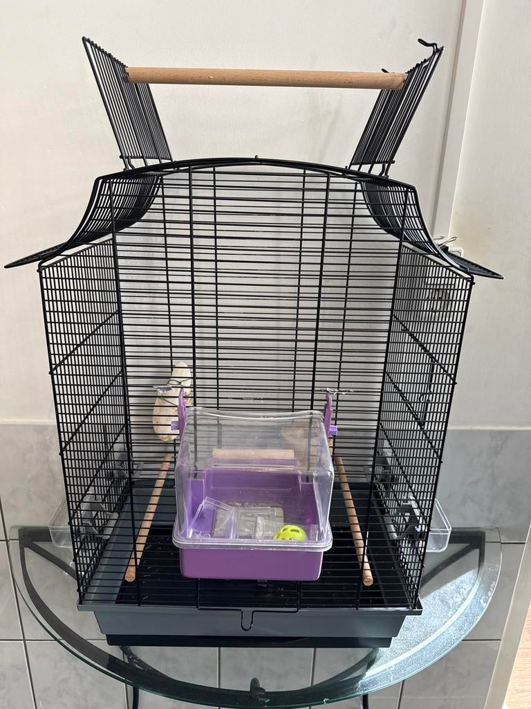 Vogelkooi, Dieren en Toebehoren, Ophalen, Gebruikt, Metaal, Vogelkooi