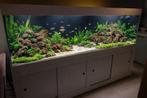 (Moet weg) Aquarium 250x80x80 (groot/zwaar aquarium), Ophalen, Gebruikt, Overige merken, Inclusief deksel