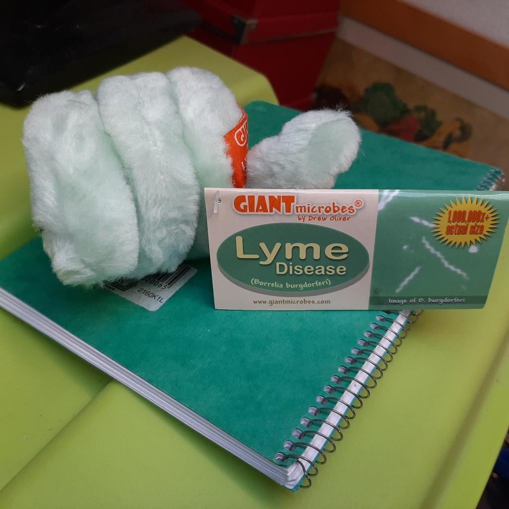 Knuffel pop mascotte, stelt Lyme virus voor, Ophalen of Verzenden
