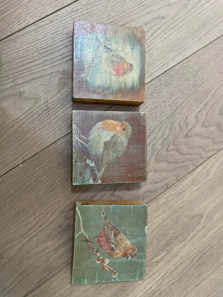 Roodborstjes op hout 3 stuks mooie details, Ophalen of Verzenden, Zo goed als nieuw, Schilderij, Minder dan 50 cm