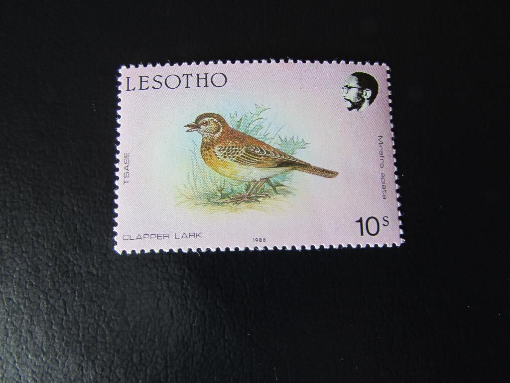 Postzegel Vogel: Kaapse Klapper-Leeuwerik uit Lesotho, Ophalen of Verzenden, Postfris, Dier of Natuur