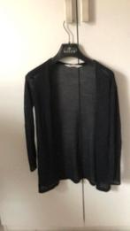 Zwart H&M vestje 134/140, Ophalen of Verzenden, Zo goed als nieuw, Meisje, Trui of Vest
