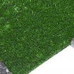 Sprietgras – Beurstapijt, Ophalen of Verzenden, Nieuw, 20 m² of meer