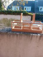 vangkooien in 3 maatten, Dieren en Toebehoren, Ophalen of Verzenden, Nieuw, Hout, Vogelkooi