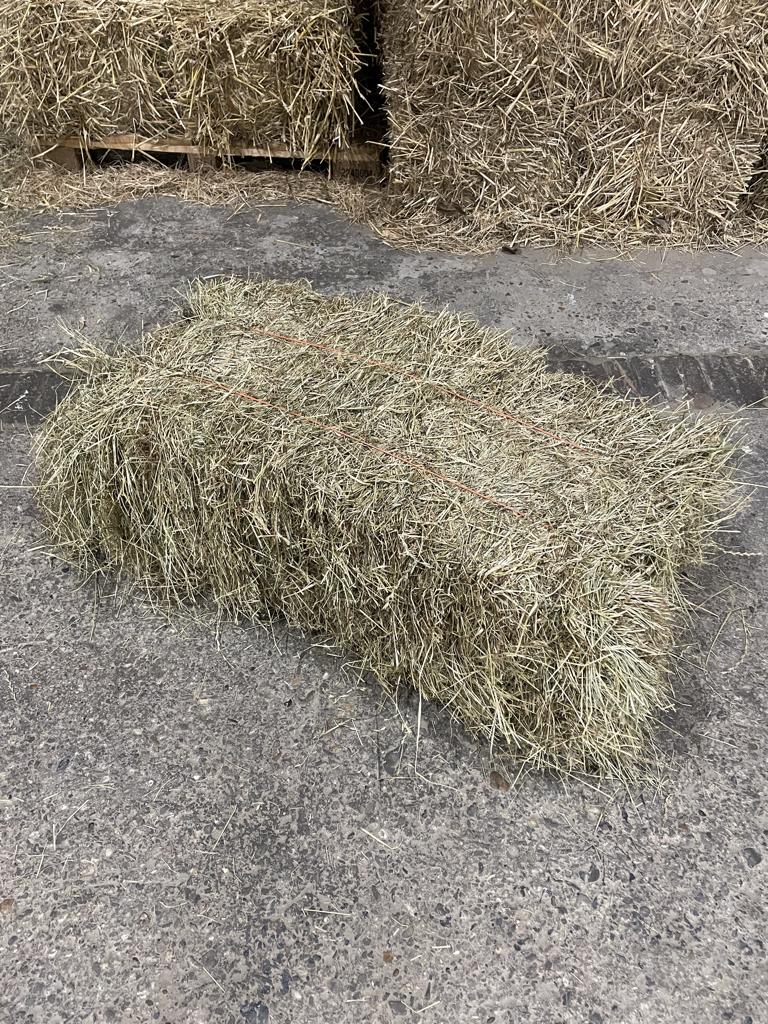 Kleine baaltjes Engelsraai graszaad hooi, Ophalen of Verzenden, Vee