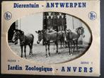 Mapje met 11 foto's van dieren uit Zoo Antwerpen, Ophalen of Verzenden, Nieuw, Overige soorten, Overige typen
