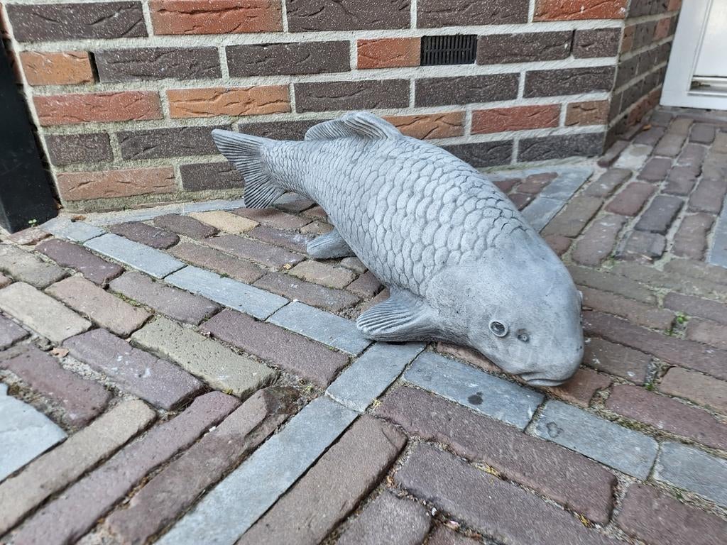Betonbeeld koi karper, Ophalen, Nieuw, Beton, Dierenbeeld