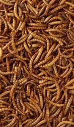 Meelwormen levend, Dieren en Toebehoren, Ophalen of Verzenden