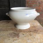 Terrine Petrus Regout, Ophalen of Verzenden