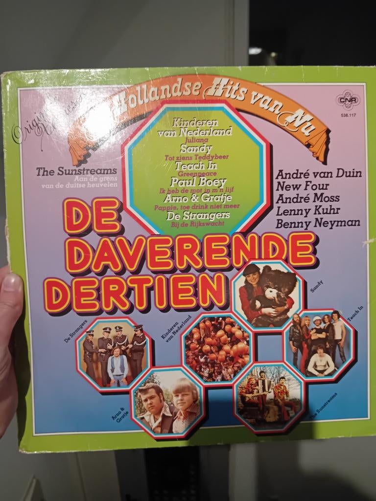 De Daverende Dertien - Hollandse Hits van Nu LP, Cd's en Dvd's, Vinyl | Nederlandstalig, Ophalen of Verzenden, Gebruikt, 12 inch