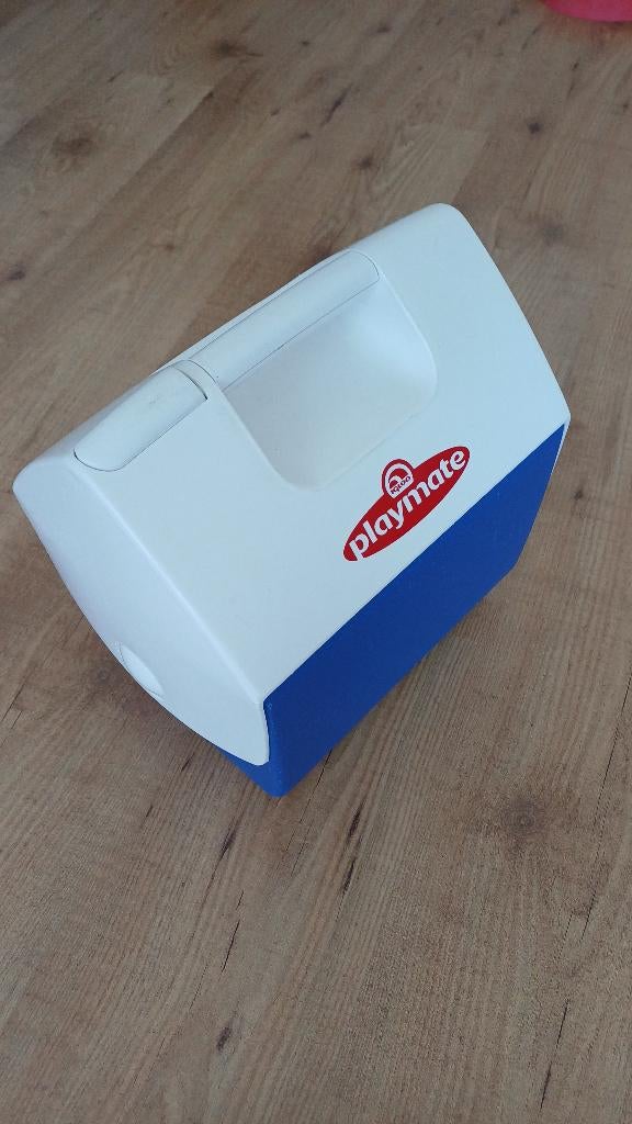 Igloo Playmate koelbox 6,6 liter, Ophalen of Verzenden, Gebruikt, Koelbox, Koelelement