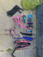 Verzoringset voor shetlander, Ophalen of Verzenden, Gebruikt, Recreatie